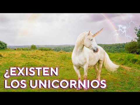 Dónde nació los unicornios: descubre su mágico origen